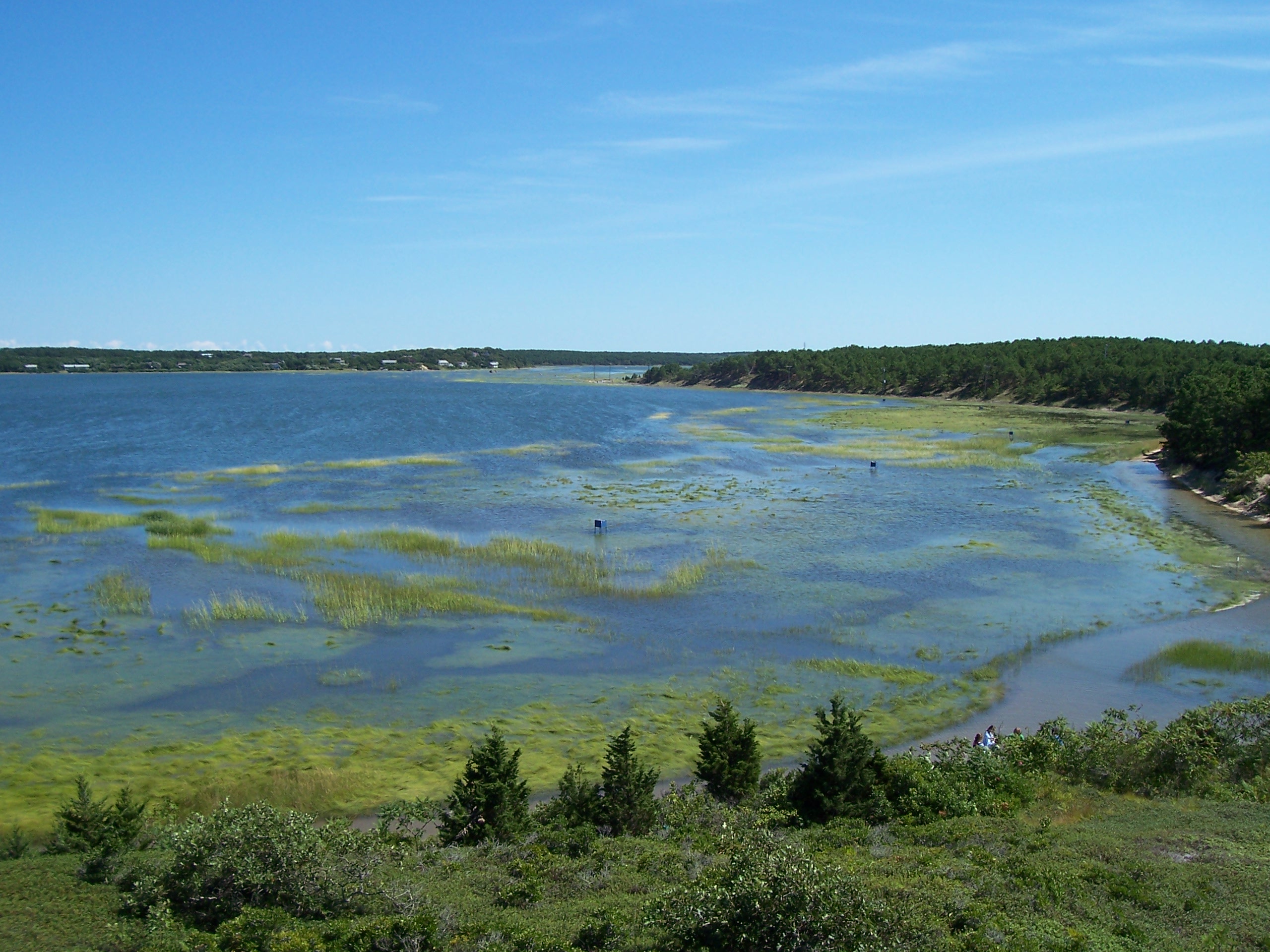 Wellfleet Real Estate Wellfleet MA Homes 3Harbors Realty